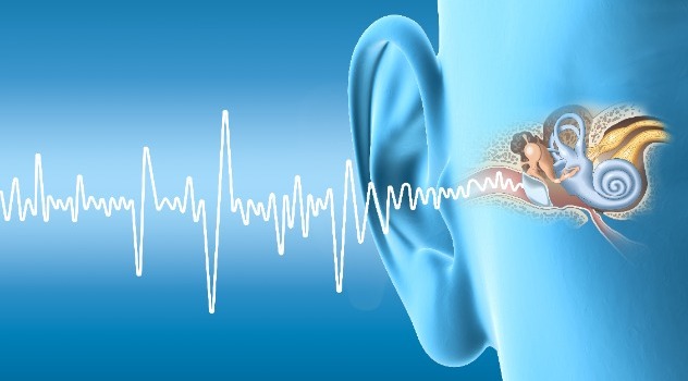 Disegno in 3D di un orecchio e delle onde sonore che vengono catturate dal sistema uditivo