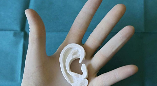 Una mano che indossa un guanto mentre mantiene un modello di orecchio realizzato con stampante 3d